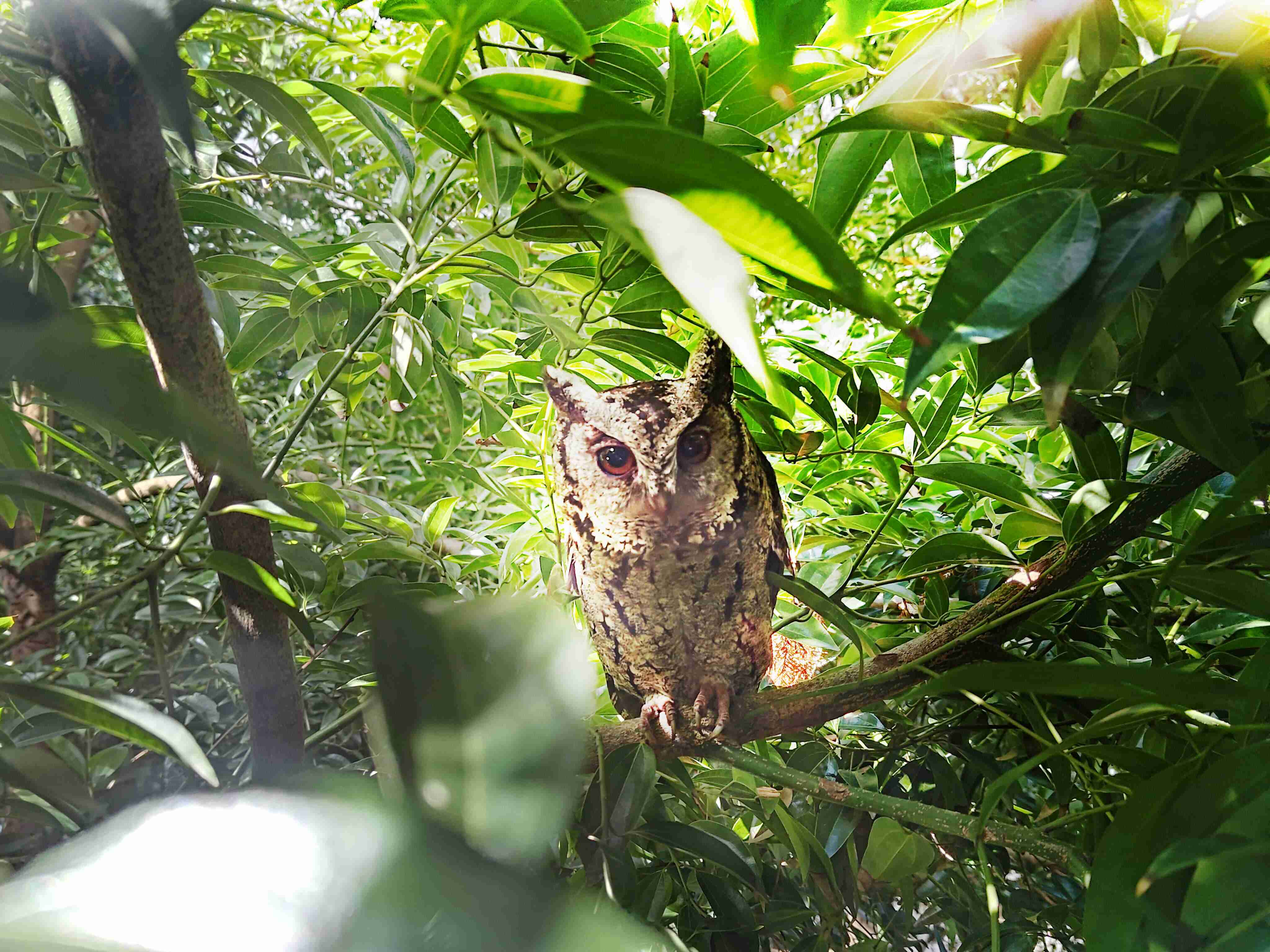 彩运网致力提倡净零绿生活，，，，16年以来在全球各厂区植树逾百万棵，，，，造就各厂区树木蔚然成林，，，，犹如森林工厂，，成为许多生物的栖息地